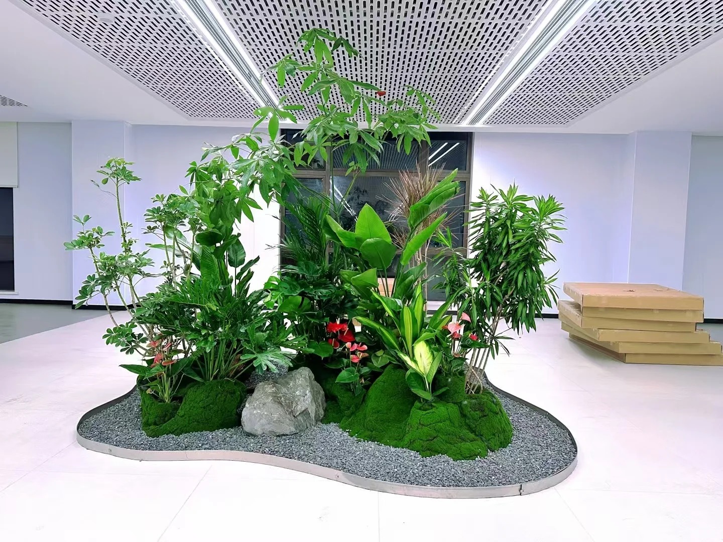 余姚绿植租赁方案怎么搭配？效果更好技巧